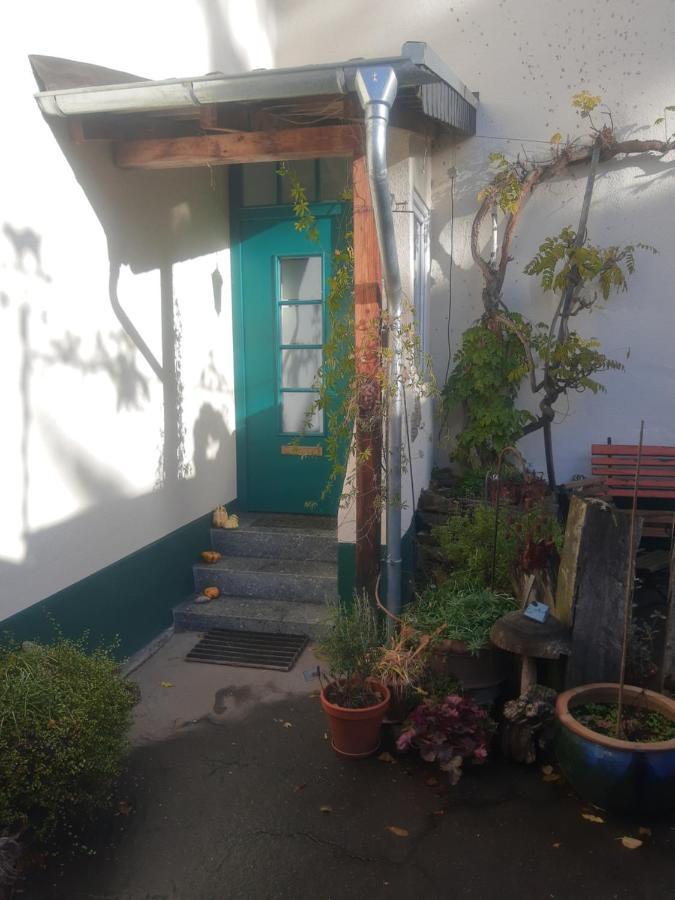 Gartenzimmer Mit Strassenbahn Zu Dom Und Messe Кёльн Экстерьер фото